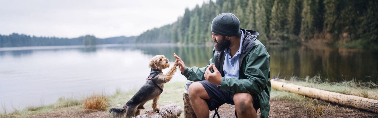 Homme assis au bord d’un lac faisant un « high five » à son chien, en pleine nature, forêt en arrière-plan. Homme assis au bord d’un lac faisant un « high five » à son chien, en pleine nature, forêt en arrière-plan.